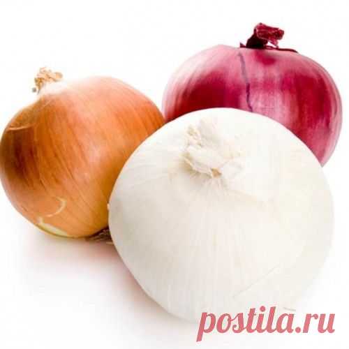 Полезные свойства репчатого лука