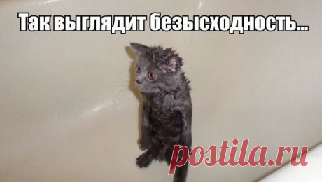 ))))