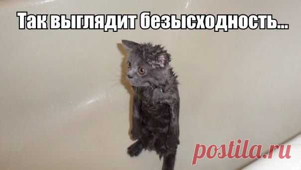 ))))