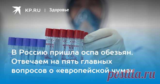 12-7-22-В Россию пришла оспа обезьян. Отвечаем на пять главных вопросов о «европейской чуме» Можно ли подцепить инфекцию на пляже, спутать ее с герпесом, как диагностируют и чем лечат оспу обезьян [комментарии экспертов]