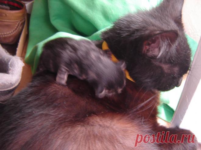 5 минут отроду