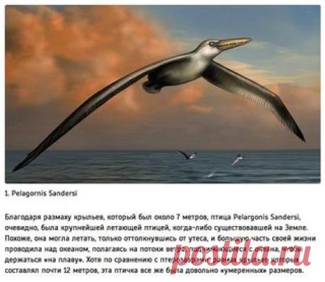 Мои закладки