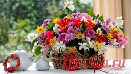 цветы фото: 26 тыс изображений найдено в Яндекс.Картинках