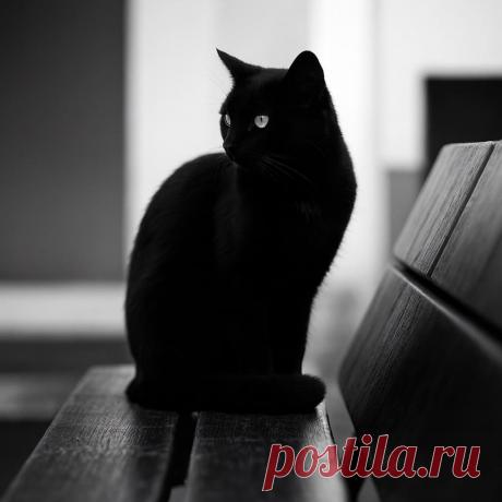 Дом для Нечисти - OGADANIE.RU