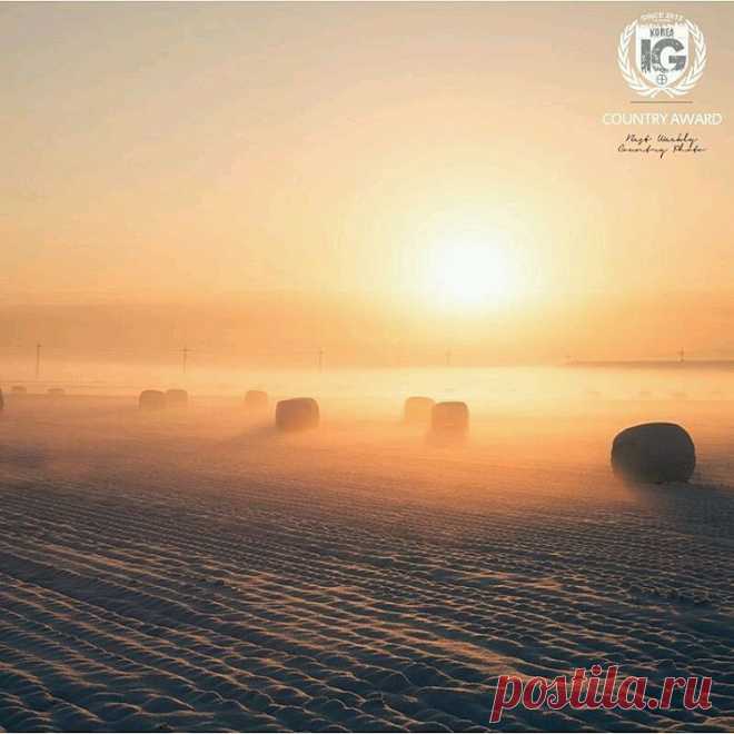 ! I G ⊕ KOREA® в Instagram: «present I G  C O U N T R Y  A W A R D  W I N N E R P H O T O | @pqiiiipq L O C A T I O N | Dangjin, South Korea F R O M | @ig.korea A D M I N | @es_kwon S E L E C T E D | @es_kwon F E A T U R E D  T A G | #ig_korea #igca_124 M A I L | igworldclub@gmail.com S O C I A L | Facebook • Twitter M E M B E R S | @igworldclub_officialaccount C O U N T R Y  R E Q U I R E D | If you want to join us and open an igworldclub account of your country or city, please write us or go