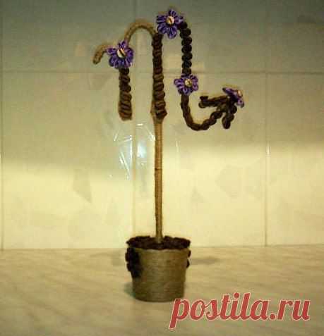 Кофе В Зернах Nsk