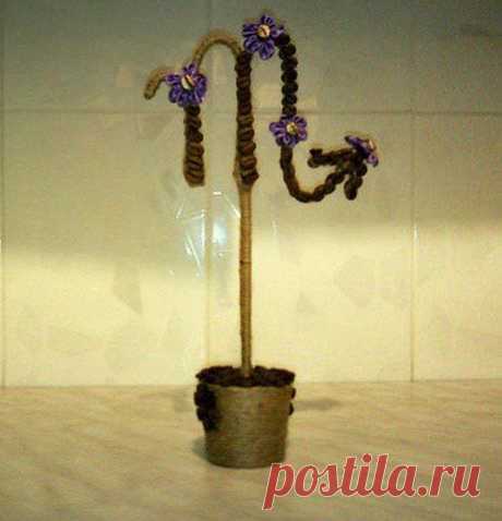 Кофе В Зернах Nsk