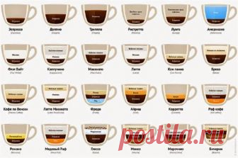 Сорта и разновидности кофе, которые должен знать каждый уважающий себя кофеман Популярный, бодрящий, ароматный напиток, известный человечеству уже около 1000 лет. Кофе был...
