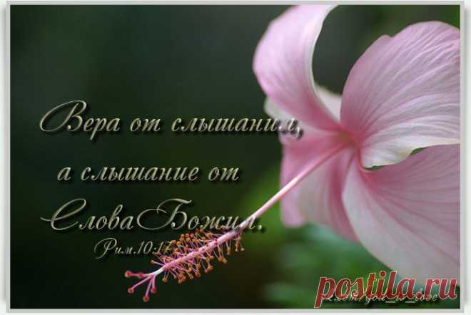 Новости