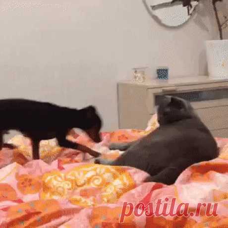 Что, больше лечь негде было?