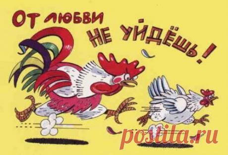 Анекдоты для хорошего настроения) - rastimul.com.ua