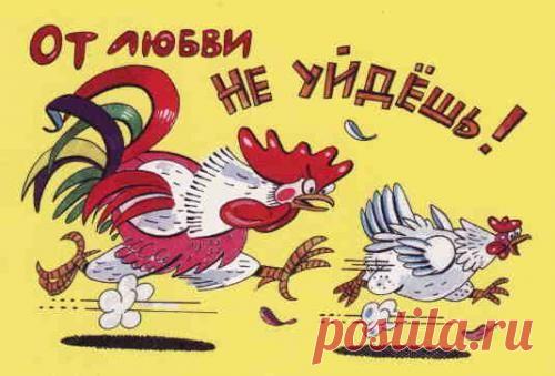 Анекдоты для хорошего настроения) - rastimul.com.ua