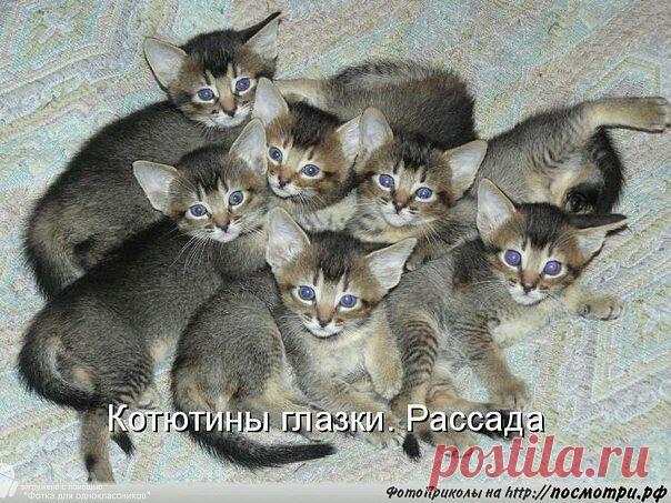 хх