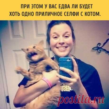 Женские штучки: Приколы 21.01.2017