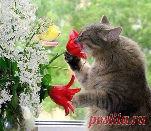 Ценитель )))