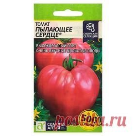 Семена Томат 