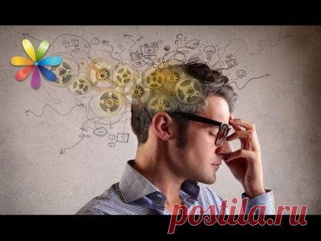 Как улучшить память и концентрацию с помощью массажа! – Все буде добре. Выпуск 885 от 26.09.16