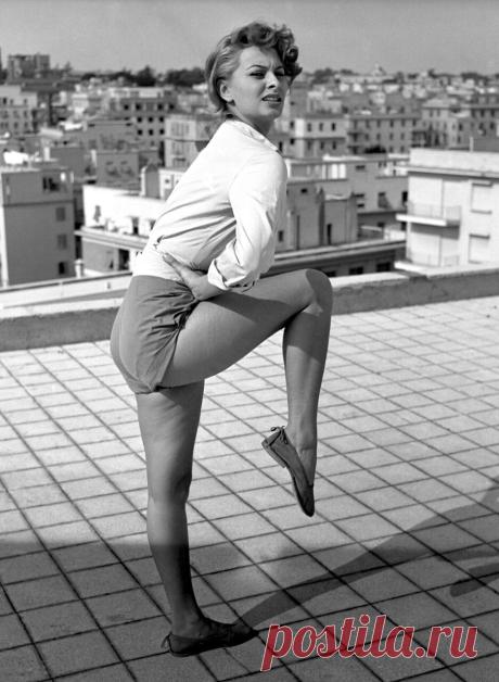 The special edition: Sophia Loren: humus — ЖЖ