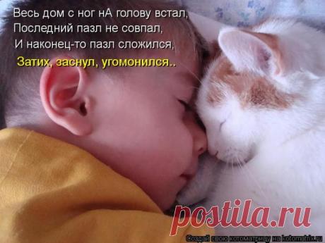 Пазл