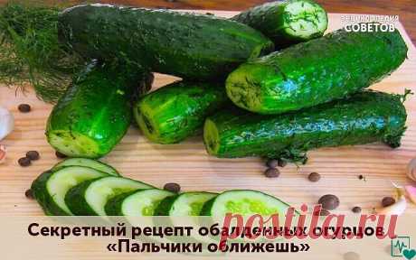 Это очень интересный рецепт!
Огурцы стоят под пластиковой крышкой не в погребе, а просто в шкафу (у меня стоят в коридоре). Так вот засолила я их 16 октября. Доставала не руками, а чистой вилочкой. Последний огурчик был съеден 27 декабря. За все эти месяцы ни плесени, ни перекисания не произошло! А огурчики хрустящие малосольные - как будто только что засолены! 
Замачиваем огурчики в холодной воде на 3 часа. В 3-х литровую банку закладываем специи - хреновый и смородиновый...