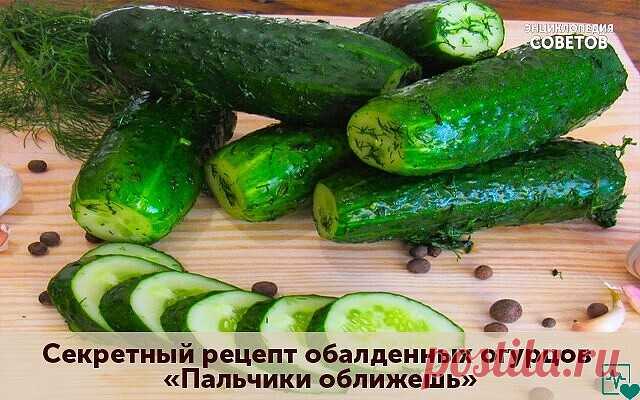 Это очень интересный рецепт!
Огурцы стоят под пластиковой крышкой не в погребе, а просто в шкафу (у меня стоят в коридоре). Так вот засолила я их 16 октября. Доставала не руками, а чистой вилочкой. Последний огурчик был съеден 27 декабря. За все эти месяцы ни плесени, ни перекисания не произошло! А огурчики хрустящие малосольные - как будто только что засолены! 
Замачиваем огурчики в холодной воде на 3 часа. В 3-х литровую банку закладываем специи - хреновый и смородиновый...