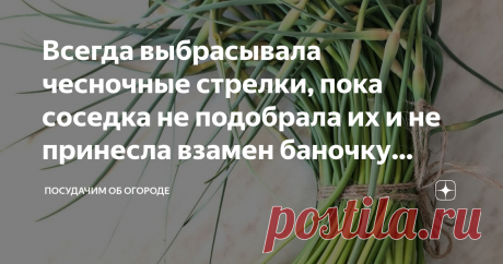Всегда выбрасывала чесночные стрелки, пока соседка не подобрала их и не принесла взамен баночку вкусной пасты Я не скрываю, что пока только начинающий огородник. Мне еще многому чему учиться и учиться, как говорил дедушка Ленин. Вот, например, пару лет назад соседка научила делать на зиму ароматную и вкусную приправу из стрелок чеснока, которые я всегда обрывала и выкидывала.
Подумать не могла, что из стрелок чеснока получится такая вкусная паста (фото автора)
У меня за ог...