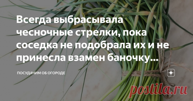 Всегда выбрасывала чесночные стрелки, пока соседка не подобрала их и не принесла взамен баночку вкусной пасты Я не скрываю, что пока только начинающий огородник. Мне еще многому чему учиться и учиться, как говорил дедушка Ленин. Вот, например, пару лет назад соседка научила делать на зиму ароматную и вкусную приправу из стрелок чеснока, которые я всегда обрывала и выкидывала.
Подумать не могла, что из стрелок чеснока получится такая вкусная паста (фото автора)
У меня за ог...