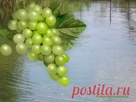 26 октября 2018. Магия лунных и солнечных суток | Астропропаганда | Яндекс Дзен

Символы, магия, гадания, приметы, сны, талисманы этого дня: 26 октября 2018 года. Автор: астролог Нина Стрелкова. Солнечный день 10-й, символы: Ковш, Вода. Лунный день 17-й, символы: Колокол, Гроздь винограда. Луна в этот день в Тельце, знаке удовольствий. День связан с радостью, женской энергией и любовью. Магия дня: смывание негативной информации при помощи наговоренной воды, любовная магия. Гадания дня...