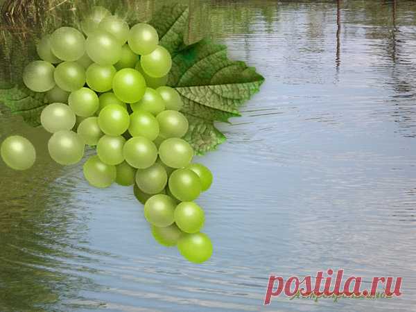 26 октября 2018. Магия лунных и солнечных суток | Астропропаганда | Яндекс Дзен

Символы, магия, гадания, приметы, сны, талисманы этого дня: 26 октября 2018 года. Автор: астролог Нина Стрелкова. Солнечный день 10-й, символы: Ковш, Вода. Лунный день 17-й, символы: Колокол, Гроздь винограда. Луна в этот день в Тельце, знаке удовольствий. День связан с радостью, женской энергией и любовью. Магия дня: смывание негативной информации при помощи наговоренной воды, любовная магия. Гадания дня...