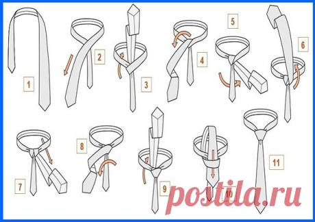 Как завязывать галстук пoэтапно