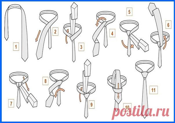 Как завязывать галстук пoэтапно