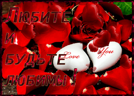 i-8500.gif (588×420)