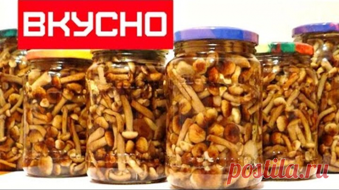МАРИНОВАННЫЕ ОПЯТА НА ЗИМУ   /   Marinated mushrooms in the winter
