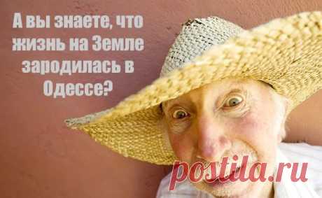 И опять, как и всегда, одесский юмор! Высказывания и афоризмы