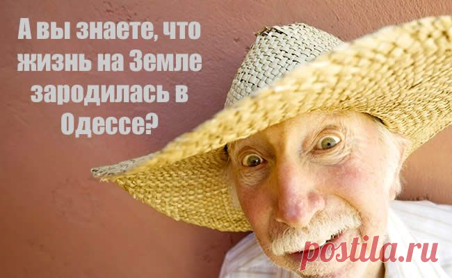 И опять, как и всегда, одесский юмор! Высказывания и афоризмы