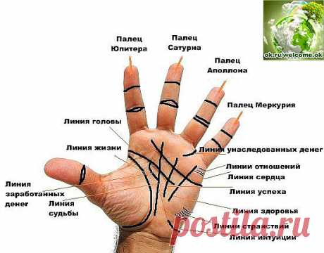 Как прочитать все важные линии на ладони без помощи гадалки