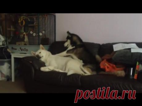 Когда девушка хочет привлечь к себе внимание