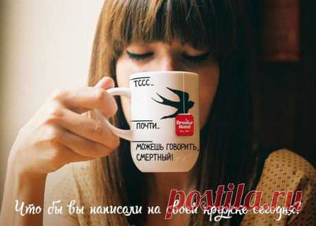 Новости