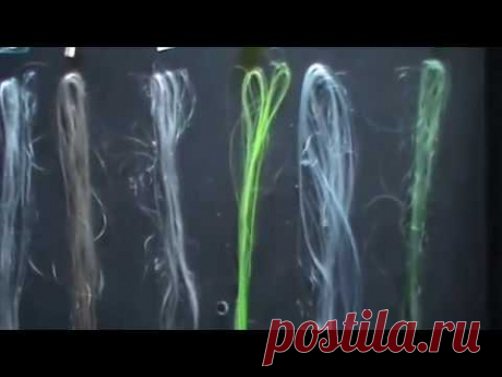 волосы из пластиковых бутылок