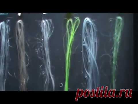 волосы из пластиковых бутылок