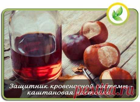 Защитник кровеносной системы - каштановая настойка