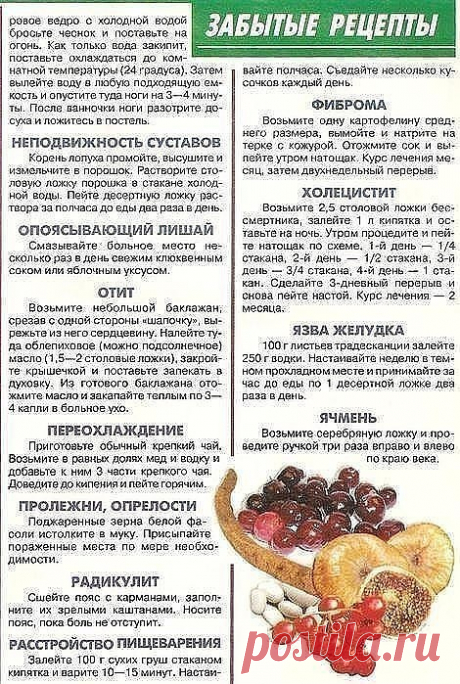 Забытые рецепты. Одноклассники