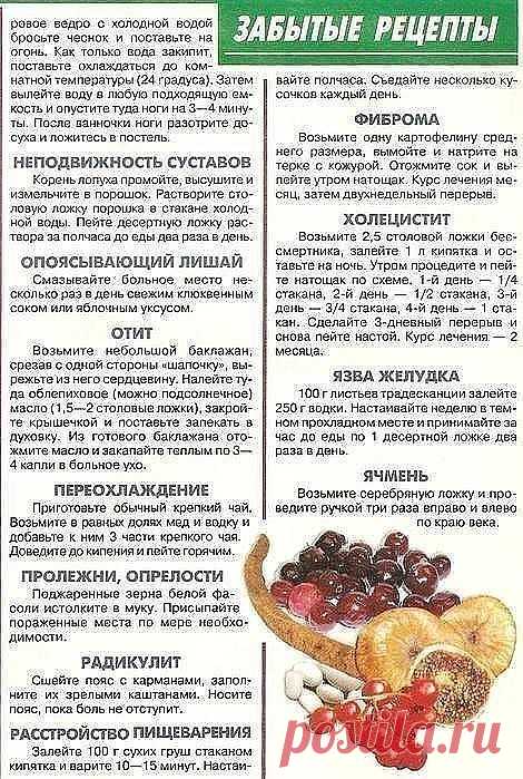 Забытые рецепты. Одноклассники