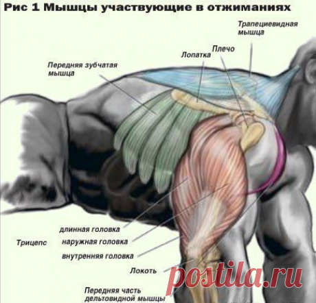 Новости