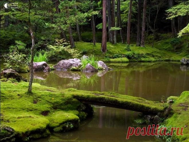 Сад мхов Saiho-ji. Япония