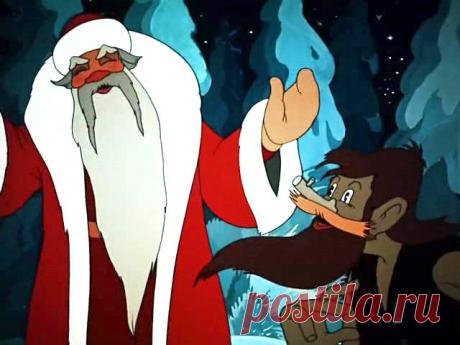 Кто может найти лучшую ёлку, чем сам Дед Мороз?!
