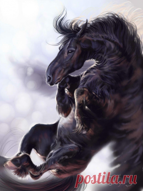 Pegasus they return. by Animal75Artist on DeviantArt
