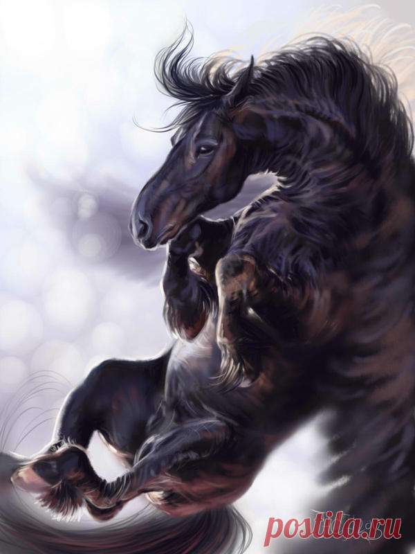 Pegasus they return. by Animal75Artist on DeviantArt