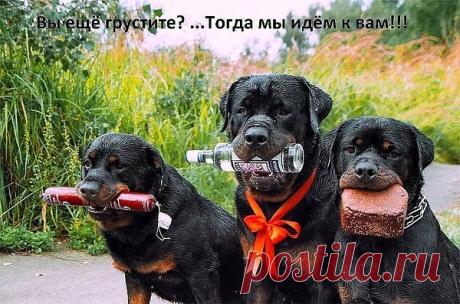 Интересные новости