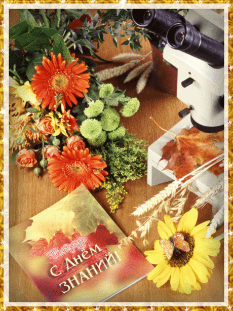 С Днем знаний картинка анимация